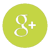 Google Plus Icon